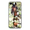 MuchoWow® Handyhülle Schutzhülle Hülle für iPhone 8 Pferde Produktbild-Vorschau 1