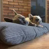 4L Textil MOLLY Hundekissen Cord Grau waschbares Hundebett Produktbild-Vorschau 11