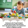 LEGO DUPLO Mes Premiers Véhicules Créatifs 10474 - Coffret Voir les images du produit 25