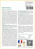 SAFLAX  - Myrte commun - 30 graines - Avec substrat - Voir les images du produit 3