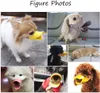 A collage of dogs wearing duck-shaped muzzles. Produktbild-Vorschau
