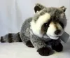 Waschbär Kuscheltier Plüschtier Stofftier Produktbild-Vorschau 7