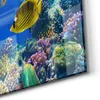 DEQORI Glasbild Echtglas 60x30 cm 'Unterwasserwelten' Produktbild-Vorschau 5