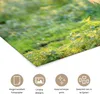 MuchoWow® Poster Weidendes Fjordpferd an einem Sommertag Produktbild-Vorschau 2