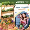 Vertikalbeet Strend Pro, 4-stöckig, mit Rädern, 85x45x147 Produktbild-Vorschau 3