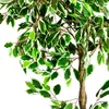 Fico Ficus Benjamin Pianta Albero Artificiale Plastica Anteprima dell’immagine prodotto 4