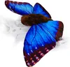 Schmetterling Kuscheltier Falter Blauer Morphofalter Insekt Produktbild-Vorschau 1