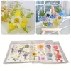A collage of images showing dried flowers and resin crafts. Náhled obrázku produktu