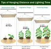 Diagram showing optimal hanging distance and lighting time for plants at different growth stages. Anteprima dell’immagine prodotto