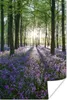MuchoWow® Poster Alle Bäume mit violetten Sternhyazinthen Produktbild-Vorschau 1