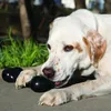Kong extreme goodie bone cane medio Anteprima dell’immagine prodotto 3