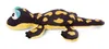 NICI Magnet Mlok Don Fuego 12cm liegend, GRÜN Produktbild-Vorschau 5