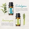 Eukalyptus Zitronengras Produktbild-Vorschau