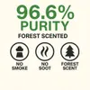 Bioetanolo profumato alla foresta 96,6% 30L per caminetti Anteprima dell’immagine prodotto 2
