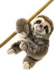 Peluche MI CLASSICO paresseux, avec aimants Voir les images du produit 3
