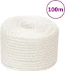 vidaXL Corde de travail blanche 10 mm 100 m polypropylène Voir les images du produit 6