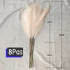 Künstliche Pampasgras,Kunstpflanze, 8Pcs 100 cm,Flauschig Produktbild-Vorschau 3