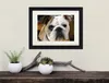 Hunde Gerahmtes Bild Mit Edlem Passepartout | Wand-Bilder | Produktbild-Vorschau 2