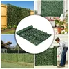 MultiGarden BP-100, pannello decorativo in edera Anteprima dell’immagine prodotto 10