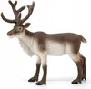 Schleich 14837 Schleich Wild Life         14837 Rentier Voir les images du produit 4