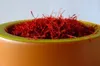 Sargol Safran Iran 10G Rote Fäden Produktbild-Vorschau 1