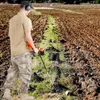 Sada detektoru kovů pro dospělé Multifunkční profesionální Náhled obrázku produktu 8