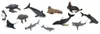 COLLECTA Animaux aquatiques 1, 12 pièces Voir les images du produit 7