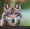 Wandkalender 2027: Wölfe – Beeindruckende Naturfotografie Produktbild-Vorschau 9