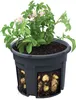 Prosperplast Potatoes 39.2x39.2x31.6 Cm Blumentopf Grau  Produktbild-Vorschau 15