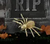 Scheletro di ragno Osso di ragno Decorazione horror di Anteprima dell’immagine prodotto 2