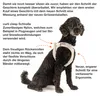 Vest Harness curli Clasp Air-Mesh Black S Produktbild-Vorschau 8