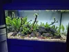 Aquarium Deko, Lavastein Vulkanisch poros Mix 24kg Produktbild-Vorschau 5
