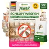 Schlupfwespen gegen Lebensmittelmotten, 1 Karte x 3 Produktbild-Vorschau 1
