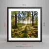 Gerahmtes Poster - Schwarzer Rahmen - Wald Baum Natur - Produktbild-Vorschau 5