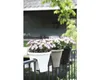 Bl.Topf Corsica Flower Brigde Weiss Anteprima dell’immagine prodotto 4