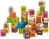 Woody Blocchi colorati con lettere e numeri Anteprima dell’immagine prodotto 1