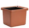 PFLANZKAST. Bewässerungs-Blumenkasten „Berberis UNO“ Produktbild-Vorschau 3