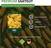 Chili Lemon Drop - Capsicum baccatum - Chilisamen - scharfe Produktbild-Vorschau 9