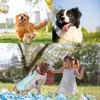Hundeweste Kühlweste für Hunde Leicht Reflektierend UV Produktbild-Vorschau 5