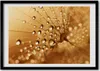 Bild - Bilder - Bilderrahmen - 70 cm x 50 cm - MDF-Rahmen, Produktbild-Vorschau 1