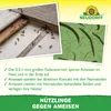 Neudorff Nützlinge gegen Ameisen – 10 Mio. SF-Nematoden Produktbild-Vorschau 4