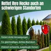 Heckenretter Heckendünger Dünger für grüne Hecken Turbo Produktbild-Vorschau 6