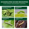 Legona XenTari Buchsbaumzünsler Spritzmittel, 10 x 2 g, bis Produktbild-Vorschau 4