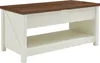 A white and brown coffee table with a lift-top and a shelf. Náhled obrázku produktu