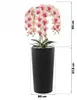 Künstliche Orchidee Cremerosa Kaskaden Blumenstrauß im Topf Produktbild-Vorschau 3