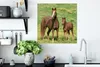 MuchoWow® Poster Pferde - Gras - Braun 50x50 cm - Produktbild-Vorschau 3