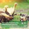 AniForte Kieselgur Pulver für Hunde, Katzen & Kleintiere 50 Produktbild-Vorschau 5