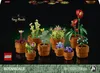 LEGO® Botanicals 10329 Miniplanten Productafbeelding-voorbeeld 22