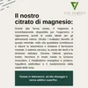 Vita Elements Magnesio Citrato Premium Set da 3 365 Capsule Anteprima dell’immagine prodotto 2