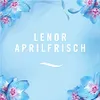 Febreze Car Lenor Aprilfrisch elimina gli odori ostinati Anteprima dell’immagine prodotto 4